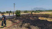 Datça’da evlerin dibinde korkutan ot yangını
