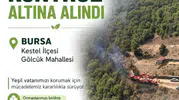 Bursa'da korkutan orman yangını: Ekiplerin 2,5 saatlik zorlu mücadelesi sonuç verdi