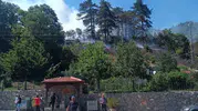 Sinop'ta çöpleri yakarken ormanı ateşe veren kişi yakalandı
