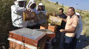 Bitlis balı bilimle dünyaya açılıyor