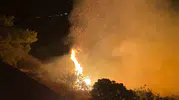 Gazipaşa alevlere teslim oldu
