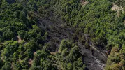 Sinop’ta ormanlık alanda çıkan yangın söndürüldü