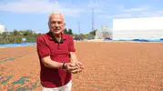 Fındıkta yeni dönem Belediye hem üretiyor hem işliyor