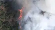 Sındırgı'da kamyon yangını ormana sıçradı