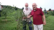 Mavi yemişte rekor Gürgentepe'de üretim 150 kiloyu geçti