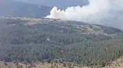 Taşköprü ormanlarında çıkan yangın korkuttu