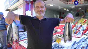 Samsun tezgahlarında palamut bereketi