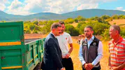 Bilecik Gölpazarı'nda ayçiçeği tarlaları hızla büyüyor