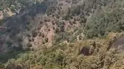 Aydın Kuyucak’taki orman yangını 25 saat sonra söndürüldü