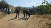 Polis 10 kilometre kovaladı, hırsızlık şüphelisi zeytinlikte yakalandı