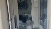 Bodrum’da uyuşturucu operasyonu Evini seraya çevirmiş