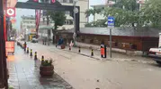 Artvin'de aniden bastıran sağanak hayatı felç etti: Yollar göle döndü
