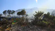 Antalya’da iki noktada orman yangını başladı