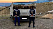 Kırşehir'de mandıra baskını yapan hırsızlar Ankara'da yakalandı