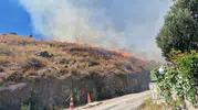 Bodrum'un Akyarlar Mahallesi'nde maki yangını Alevler 1 saatte söndürüldü
