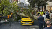 Teşvikiye'de çınar ağacı taksinin üzerine devrildi, yol 3 saat kapandı