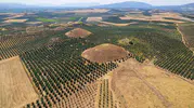 Lidya krallarının 2 bin 700 yıllık dev mezarları ayakta