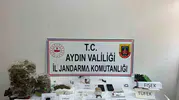 Jandarma 11 eve aynı anda girdi, 4 şüpheli cezaevinde