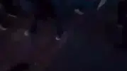 Beylikdüzü’nde trafikte dehşet saçan iki kişiye ağır ceza