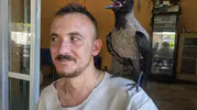 Göl kıyısında bulduğu kargayla ayrılmaz ikili oldu
