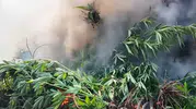 Diyarbakır kırsalında dev uyuşturucu operasyonu