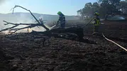 Balıkesir itfaiyesi temmuz ayında bin 521 kez yardıma koştu
