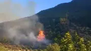İslahiye ormanlarında kısa süreli yangın paniği