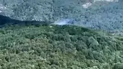 Kazdağları alevlere teslim oldu