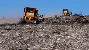 Aliağa ve Foça ormanları 1 milyon yeni fidanla canlanıyor