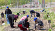 İzmirli kadınlar mutfak masrafını toprakla düşürüyor