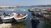 Yalova Çınarcık’ta denizi kirleten belediyeye ağır ceza