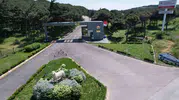 Bandırma'da koyun sağlığını koruyacak bilimsel çalışmaya TÜBİTAK desteği