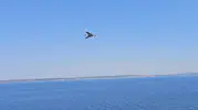 TCG Anadolu ve Burgazada'dan KALKAN DİHA kalktı