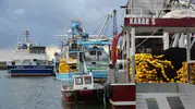 Karadeniz'de dev buluşma: Binlerce balıkçı gece yarısı Vira Bismillah diyecek