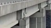 Kuzey Marmara Otoyolu viyadüğünde mahsur kalan keçi kurtarıldı