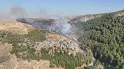 Hatay Antakya’da orman yangını paniği