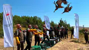 Nemrut Kalderası'nda 5 yırtıcı kuş yeniden gökyüzüyle buluştu