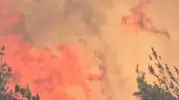 Balıkesir'de kamyon yangını ormanlık alana sıçradı