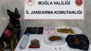 Muğla jandarması Temmuz ayında kaçakçılara göz açtırmadı