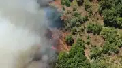 Köylünün anız ateşi ormanı tutuşturdu, alevler havadan görüntülendi