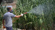 Kuşadası sokaklarında sinek ve haşere mesaisi