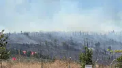 Gebze’de orman yangını paniği