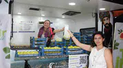 Buharkent inciri mobil büfe ile sokaklara indi
