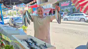 Karadeniz balıkçısının yüzü güldü Palamut tezgahlara indi