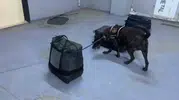 Kıyafetlere emdirilmiş 7 kilo uyuşturucu Silopi sınırında yakalandı