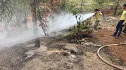 Kilis'te yıldırım düşen ormanlık alanda yangın paniği