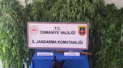 Osmaniye jandarmasından bir haftalık asayiş bilançosu