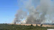 Gebze'de orman yangını havadan ve karadan müdahaleyle söndürüldü