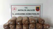 Antalya’da kaçak tütün baskını Üç ilçede 785 kilo ürün toplandı