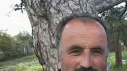 Araç'ta ağaç keserken üzerine devrildi, can verdi